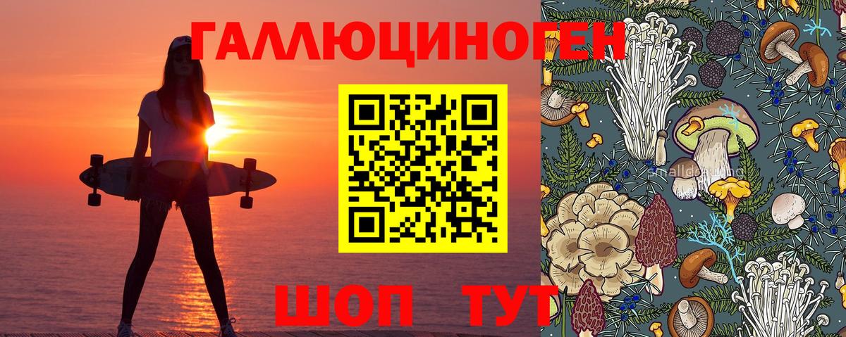 Клинцы  Псилоцибиновые грибы Cubensis  Вход с VPN 