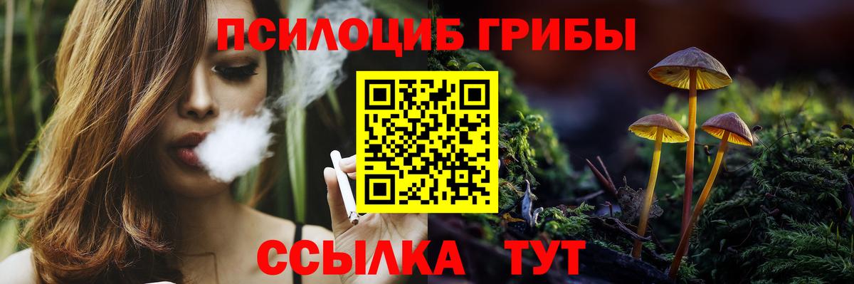 Галлюциногенные грибы ЛСД Клинцы